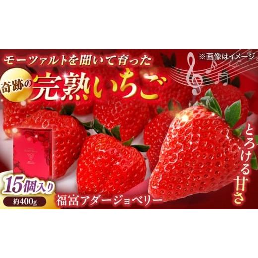 ふるさと納税 いちご 島根県 松江市 数量限定100セット 島根県松江市「のつ農園」 完熟いちご「福富アダージョベリー」 15個入り?島根県松江市/山陰中央テ…