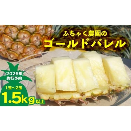 ふるさと納税 果物類 沖縄県 名護市 2026年先行予約 ふちゃく農園のゴールドバレル1.5kg以上 パイン パイナップル パインアップル 高級パイン 沖縄県産パイン…