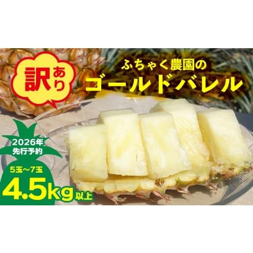 ふるさと納税 果物類 沖縄県 名護市 2026年先行予約 訳あり ふちゃく農園のゴールドバレル4.5kg以上 パイン パイナップル パインアップル 高級パイン 沖縄県…
