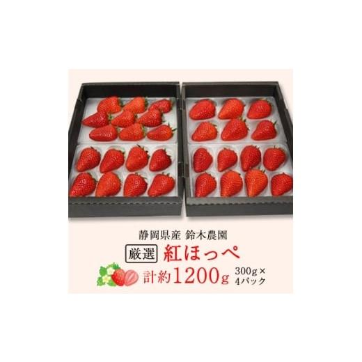 ふるさと納税 いちご 静岡県 掛川市 発送月固定定期便 静岡県産いちご 厳選「紅ほっぺ」4パックセット(約1.2kg)全3回 4079587