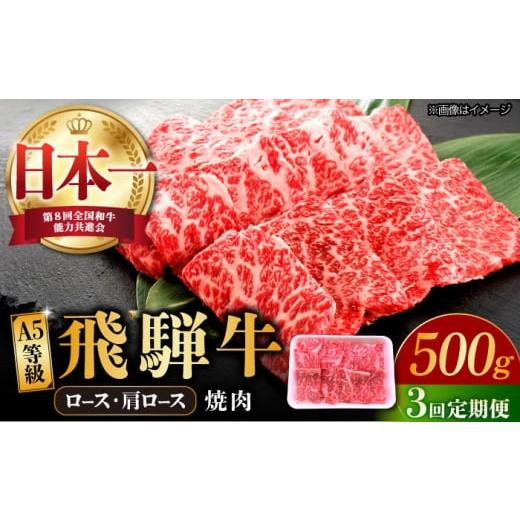 ふるさと納税 牛肉 焼肉・バーベキュー 岐阜県 多治見市 3回定期便 飛騨牛 焼肉用 ロース・肩ロース 500g A5等級 和牛 ブランド牛 国産 牛肉 多治見市 / 渡…