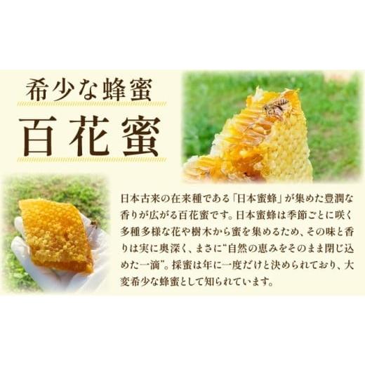 ふるさと納税 加工品等 はちみつ 佐賀県 上峰町 日本蜜蜂の純粋