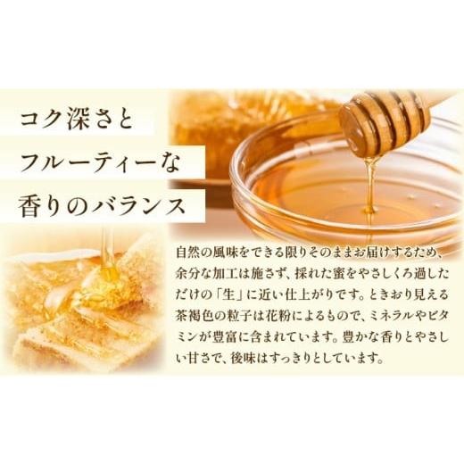 ふるさと納税 加工品等 はちみつ 佐賀県 上峰町 日本蜜蜂の純粋