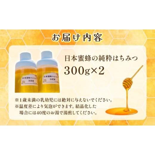 ふるさと納税 加工品等 はちみつ 佐賀県 上峰町 日本蜜蜂の純粋
