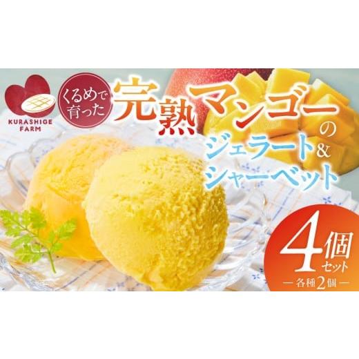ふるさと納税 アイス・ヨーグルト ジェラート 福岡県 久留米市 2026年7月お届け 完熟マンゴーのジェラート&シャーベット130ml×4個入り _Dw012-04 4個入り