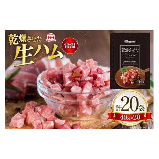 ふるさと納税 肉 ハム 青森県 おいらせ町 乾燥させた 生ハム 40g 20袋 日本ハムマーケティング 青森県 おいらせ町 oi02ayo820022 ハム 常温 乾燥生ハム おつま…