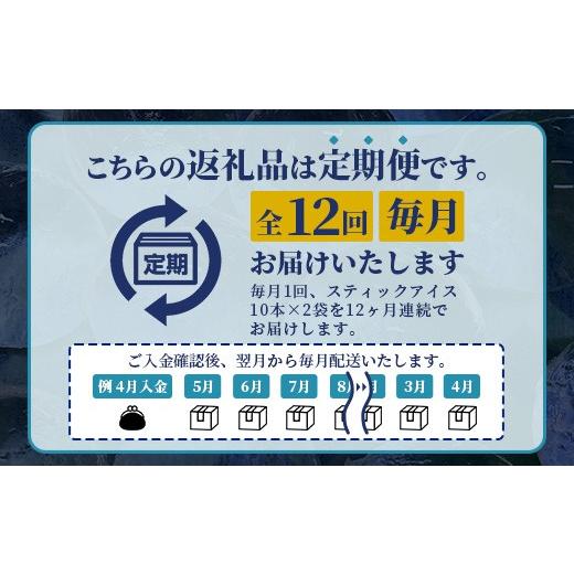 ふるさと納税 水・ミネラルウォーター 佐賀県 鹿島市 定期便 (12回定期便) さがん氷 かちわり氷 スティックアイス 10本×2セット 合計240本 L-55 藤津製氷 こ…の画像