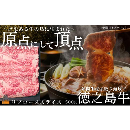 ふるさと納税 牛肉 ロース 鹿児島県 徳之島町 2524 南原(はいばる)牧場 幻の徳之島牛 リブローススライス 500g ( 厳選 ロース プレミアム 高品質 鹿児島黒毛…