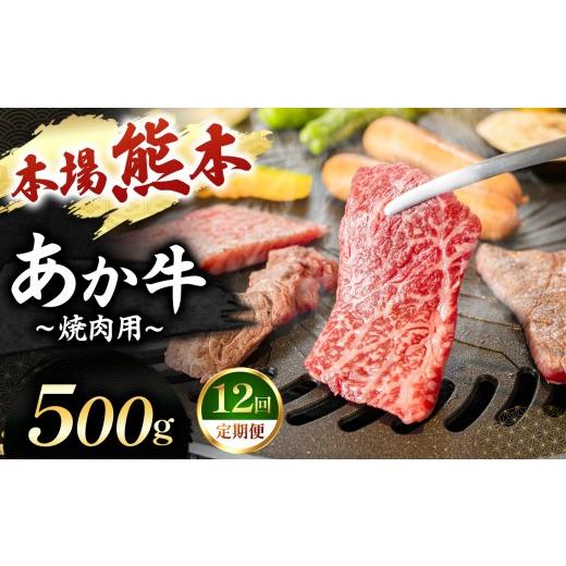 ふるさと納税 牛肉 焼肉・バーベキュー 熊本県 玉名市 定期便 12回 あか牛 焼肉用 500g | 肉 にく お肉 おにく 牛 あか牛 焼き肉用 熊本県 玉名市 定期 定期…