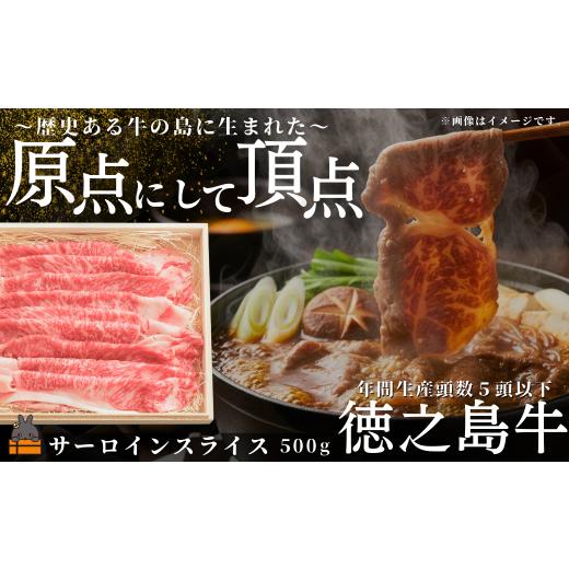 ふるさと納税 牛肉 サーロイン 鹿児島県 徳之島町 2526 南原(はいばる)牧場 幻の徳之島牛 サーロインスライス 500g ( 厳選 ロース プレミアム 高品質 鹿児島…