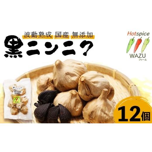 ふるさと納税 加工品等 京都府 綾部市 波動熟成 黒にんにく 12個セット | もう、ただの黒にんにくとは言わせない。ひと粒で、明日の元気が変わる。まるでフル…