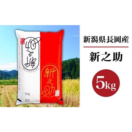 ふるさと納税 米 新潟県 長岡市 B7-SK051新潟県長岡産新之助5kg