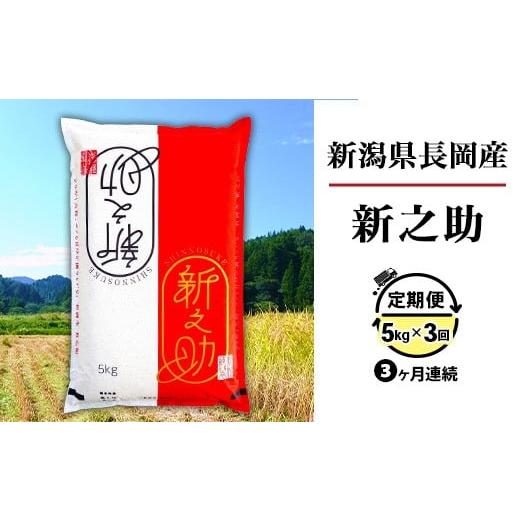 ふるさと納税 米 新潟県 長岡市 B7-SK053 3ヶ月連続お届け 長岡産新之助5kg