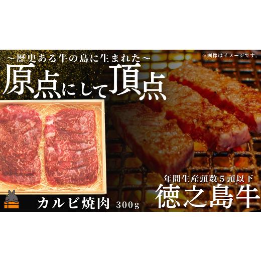 ふるさと納税 牛肉 バラ(カルビ) 鹿児島県 徳之島町 2528 南原(はいばる)牧場 幻の徳之島牛 カルビ焼肉 300g ( 厳選 焼肉 プレミアム 高品質 鹿児島黒毛和牛…