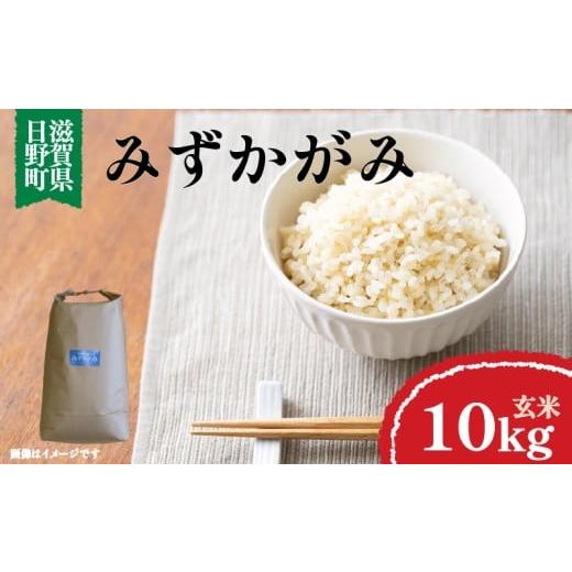 ふるさと納税 玄米 滋賀県 日野町 令和7年産 新米 みずかがみ 玄米 10kg ( 1袋 ) 近江米 滋賀県 日野町産 おこめ 2025年産 米 環境こだわり米 ギフト 贈り物 …