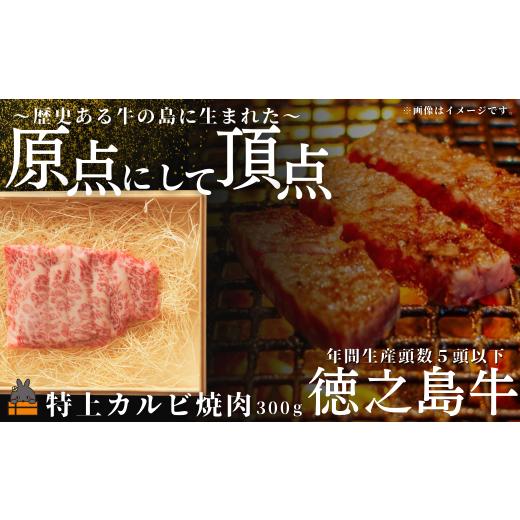 ふるさと納税 牛肉 バラ(カルビ) 鹿児島県 徳之島町 2531 南原(はいばる)牧場 幻の徳之島牛 特上カルビ焼肉 300g ( 厳選 焼肉 プレミアム 高品質 鹿児島黒毛…