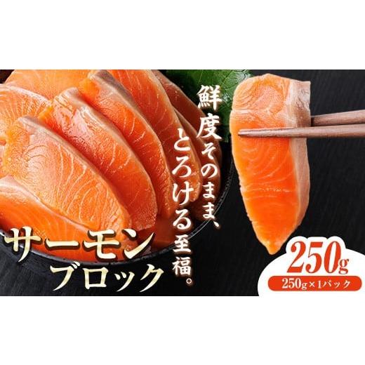 ふるさと納税 魚貝類 サーモン 宮崎県 門川町 生食用 サーモン ブロック(250g×1P) 鮭 小分け 真空 パック 冷凍 刺身 シャケ サケ 魚 魚介 AW-97 丸正水産