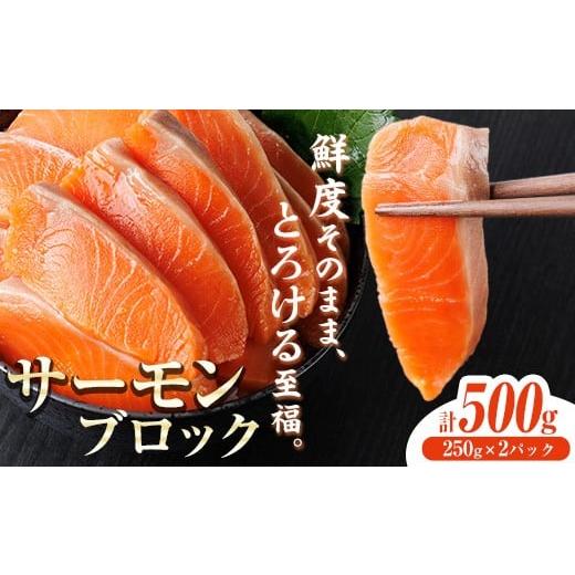 ふるさと納税 魚貝類 サーモン 宮崎県 門川町 生食用 サーモン ブロック(計500g・250g×2P) 鮭 小分け 真空 パック 冷凍 刺身 シャケ サケ 魚 魚介 AW-98 丸正…