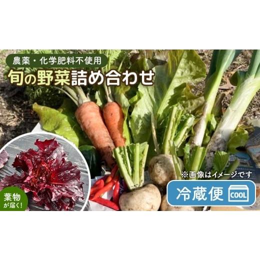 ふるさと納税 セット・詰合せ 宮城県 白石市 農薬・化学肥料不使用 旬野菜詰め合わせ(冷蔵便) | 農薬不使用 化学肥料不使用 セット 詰め合わせ 野菜 じゃが…