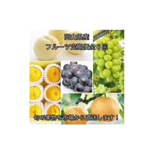 ふるさと納税 もも 岡山県 津山市  発送月固定定期便 岡山県産 フルーツ定期便全6回_フルーツ 定期便 旬 果物 食べ比べ 岡山県 津山市 デザート 葡萄 ぶどう …_1