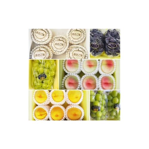 ふるさと納税 もも 岡山県 津山市  発送月固定定期便 岡山県産 フルーツ定期便全6回_フルーツ 定期便 旬 果物 食べ比べ 岡山県 津山市 デザート 葡萄 ぶどう …_2