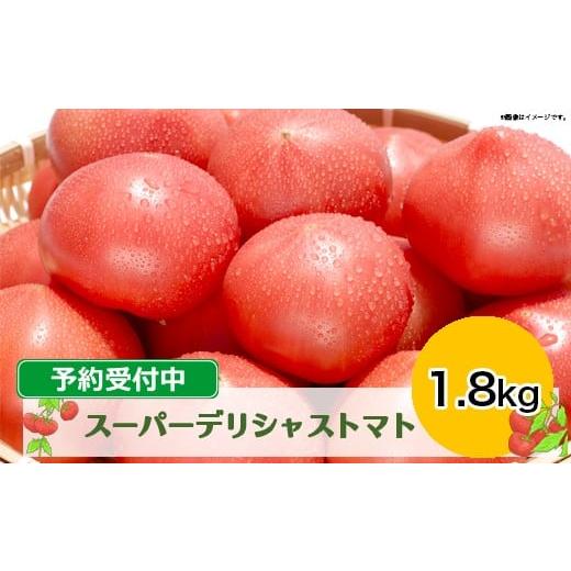 ふるさと納税 野菜類 トマト 宮城県 大崎市 糖度8.5度以上の特別な高級トマト|ふるさと納税 スーパーデリシャストマト 1.8kg(予約受付中)