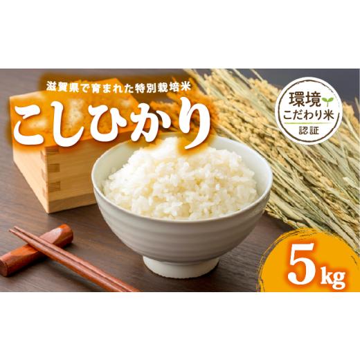 ふるさと納税 米 コシヒカリ 滋賀県 日野町 令和7年産 5kg コシヒカリ 米 白米 2025年産 こしひかり 国産 滋賀県 日野町 農家直送 お米 精米 おこめ こめ 産…