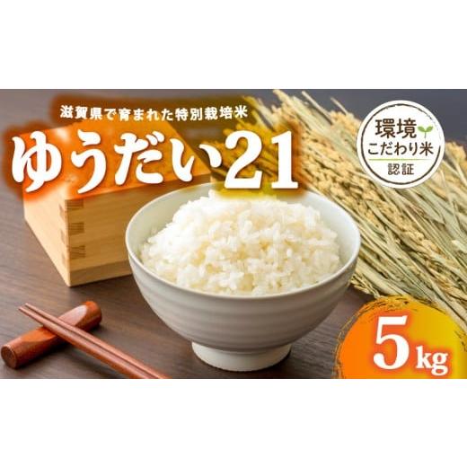ふるさと納税 米 滋賀県 日野町 令和7年産 5kg ゆうだい21 米 白米 2025年産 ゆうだい 国産 滋賀県 日野町 農家直送 お米 精米 おこめ こめ 産地直送 ふるさ…