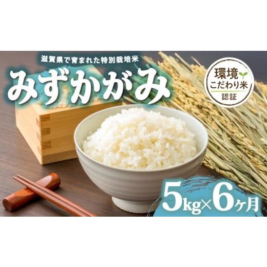 ふるさと納税 米 滋賀県 日野町 令和7年産 5kg 定期便 6ヶ月 みずかがみ 米 白米 2025年産 ミズカガミ 国産 滋賀県 日野町 農家直送 お米 精米 おこめ こめ …