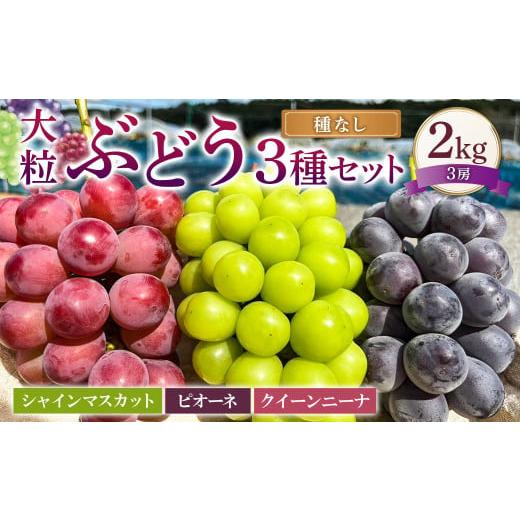 ふるさと納税 ぶどう マスカット 岡山県 美咲町 大粒 ぶどう 3種 セット 3房 計約2kg シャインマスカット ピオーネ クイーンニーナ 2026年10月上旬から発送予…