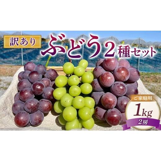ふるさと納税 ぶどう マスカット 岡山県 美咲町 訳ありぶどう2種セット 約1kg 2房 2026年10月上旬から発送予定 / マスカット ピオーネ 葡萄 ブドウ 種無し 種…