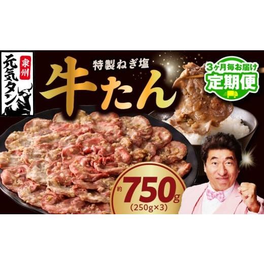 ふるさと納税 牛肉 タン 大阪府 泉佐野市 定期便 ねぎ塩 牛たん 750g 小分け 250g×3 牛タン 牛肉 焼肉用 薄切り 訳あり サイズ不揃い 2026年2月&5月発送 全…