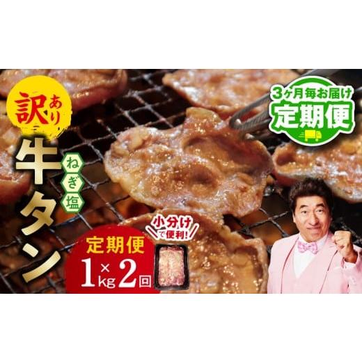 ふるさと納税 牛肉 タン 大阪府 泉佐野市 定期便 ねぎ塩 牛たん(成型)合計 1kg 小分け 250g×4 牛タン 牛肉 焼肉用 薄切り 訳あり サイズ不揃い 2026年2月…