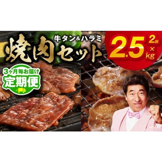 ふるさと納税 牛肉 タン 大阪府 泉佐野市 定期便 牛タン&牛ハラミ 総量 2.5kg 焼肉セット 成型牛たん ハラミ 牛肉 焼肉用 薄切り 訳あり サイズ不揃い 2026…