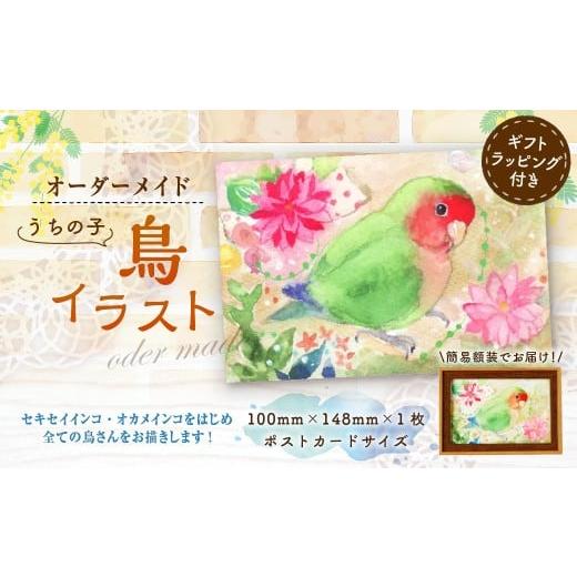 ふるさと納税 雑貨・日用品 絵画 福岡県 糸田町 うちの子オーダーメイド・鳥イラスト / セキセイインコ・オカメインコをはじめ全ての鳥さんをお描きします 水…