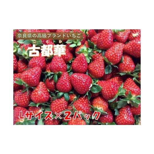 ふるさと納税 いちご 奈良県 橿原市 おかげさまで21年目 毎年大好評の甘い美味しい苺(レギュラーパックLサイズ×2パック)(古都華(ことか)) 北海道・沖縄…
