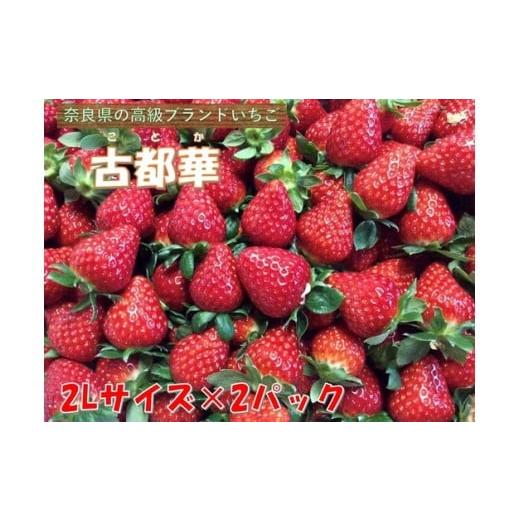 ふるさと納税 いちご 奈良県 橿原市 おかげさまで21年目 毎年大好評の甘い美味しい苺(レギュラーパック2Lサイズ×2パック)(古都華(ことか)) 北海道・沖…
