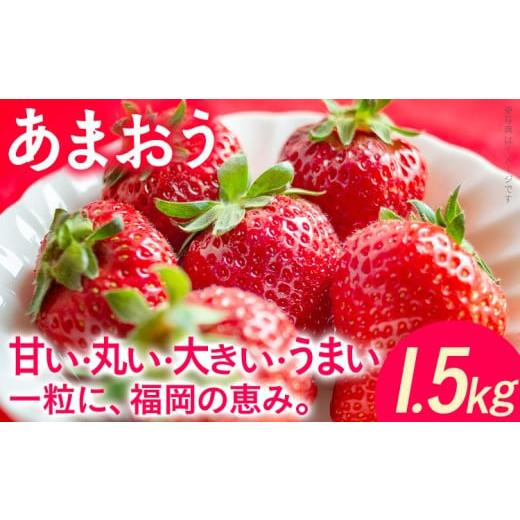 ふるさと納税 いちご 福岡県 みやこ町 あまおう いちご 1.5kg 250g×6パック 福岡 苺 フルーツ 果物 くだもの 大容量 九州 グルメ お取り寄せ 3月上旬〜4月上…