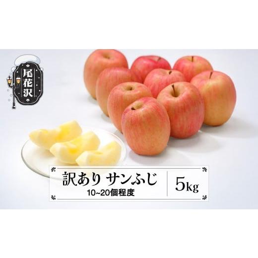 ふるさと納税 りんご 山形県 尾花沢市 先行予約 訳あり りんご サンふじりんご 5kg 無印品 11月中旬~12月中旬発送 令和8年産 2026年産 山形県産 フルーツ 果物…