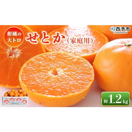 ふるさと納税 みかん・柑橘類 愛媛県 西予市 せとか(家庭用)約1.2kg 自宅用 訳あり ワケアリ 果物 くだもの フルーツ セトカ 1.2キロ 高級柑橘 柑橘の大ト…