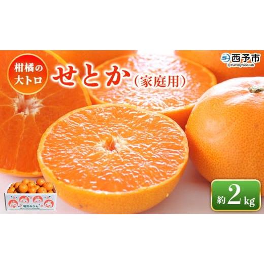 ふるさと納税 みかん・柑橘類 愛媛県 西予市 せとか(家庭用)約2kg 自宅用 訳あり ワケアリ 果物 くだもの フルーツ セトカ 2キロ 高級柑橘 柑橘の大トロ 柑…