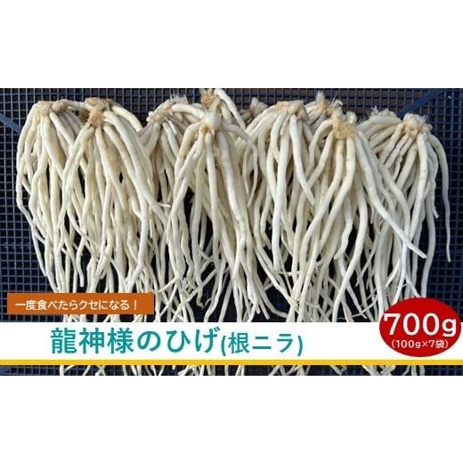 ふるさと納税 人参・大根・他根菜 長野県 諏訪市 期間限定 2026年3月20日まで受付 根ニラ 龍神様のひげ 700g 100g×7袋 / すわファーム 根ニラ ニラ 野菜 香…