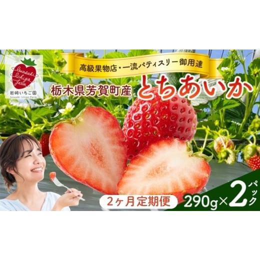 ふるさと納税 いちご 栃木県 芳賀町 2ヶ月定期便 栃木県芳賀町産いちご とちあいか290g(7〜12粒)×2トレイ | 果物 フルーツ いちご 苺 イチゴ とちあいか ブ…