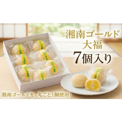ふるさと納税 和菓子 生菓子 神奈川県 藤沢市 湘南ゴールド大福 7個入 大福 湘南ゴールド 白あん 羽二重餅 果汁 果実 まるごと お菓子 おかし 季節限定 スイー…