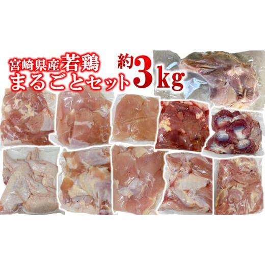 ふるさと納税 鶏肉 モモ 宮崎県 西都市 宮崎県産若鶏 11種 3.05kgセット 小分け もも肉 むね肉 筋なしささみ 砂肝等々11種 小分け 11パック 1.4-34 とり肉 国…