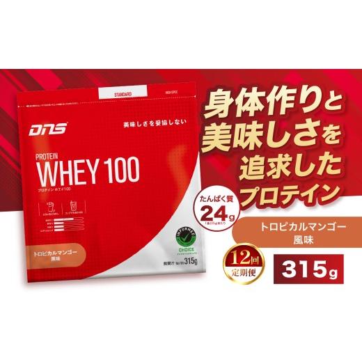 ふるさと納税 加工品等 栃木県 真岡市 定期便12回 DNS プロテインホエイ 100 トロピカルマンゴー 風味 315g | プロテイン ホエイプロテイン トロピカル マン…