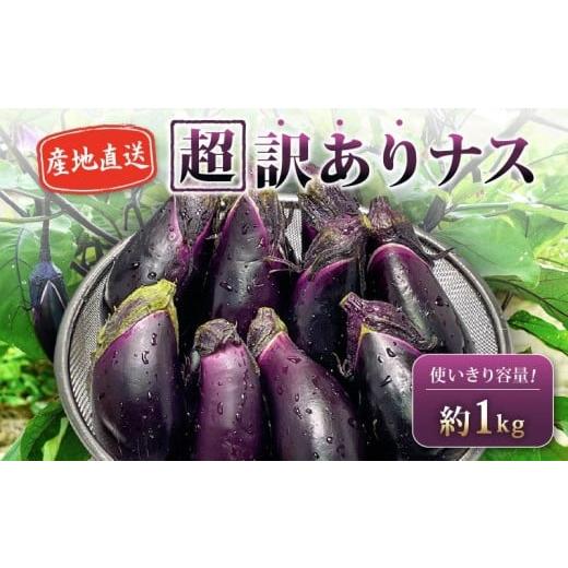 ふるさと納税 野菜類 茄子 高知県 安田町 3月から順次発送 安田町産 「超」 訳あり ナス なす 1kg 新鮮 野菜 茄子 産地直送 季節限定 夏野菜 ふるさと納税茄…