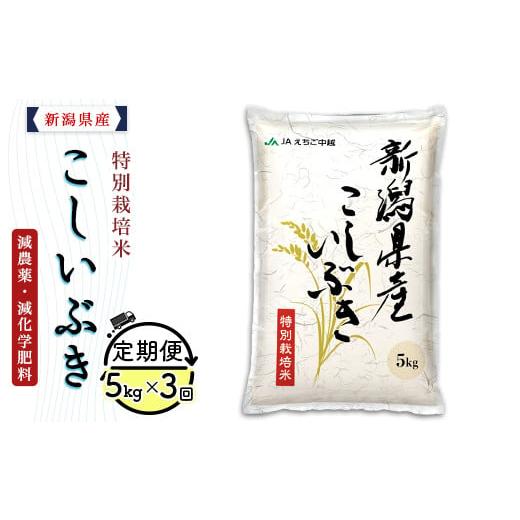 ふるさと納税 米 新潟県 長岡市 75-7K053 3ヶ月連続お届け 新潟県長岡産特別栽培米こしいぶき5kg 2026年3月発送開始 発送開始時期:2026年3月