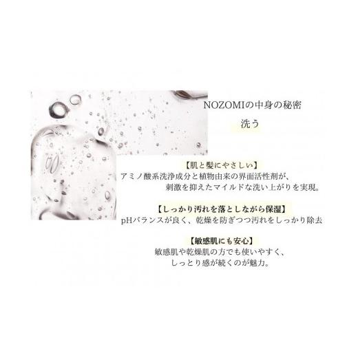 ふるさと納税 美容 福岡県 福岡市  福岡市内製造 NOZOMIボタニカルシャンプー 400ml（3本セット）の画像