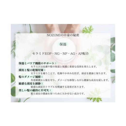 ふるさと納税 美容 福岡県 福岡市  福岡市内製造 NOZOMIボタニカルシャンプー 400ml（3本セット）の画像